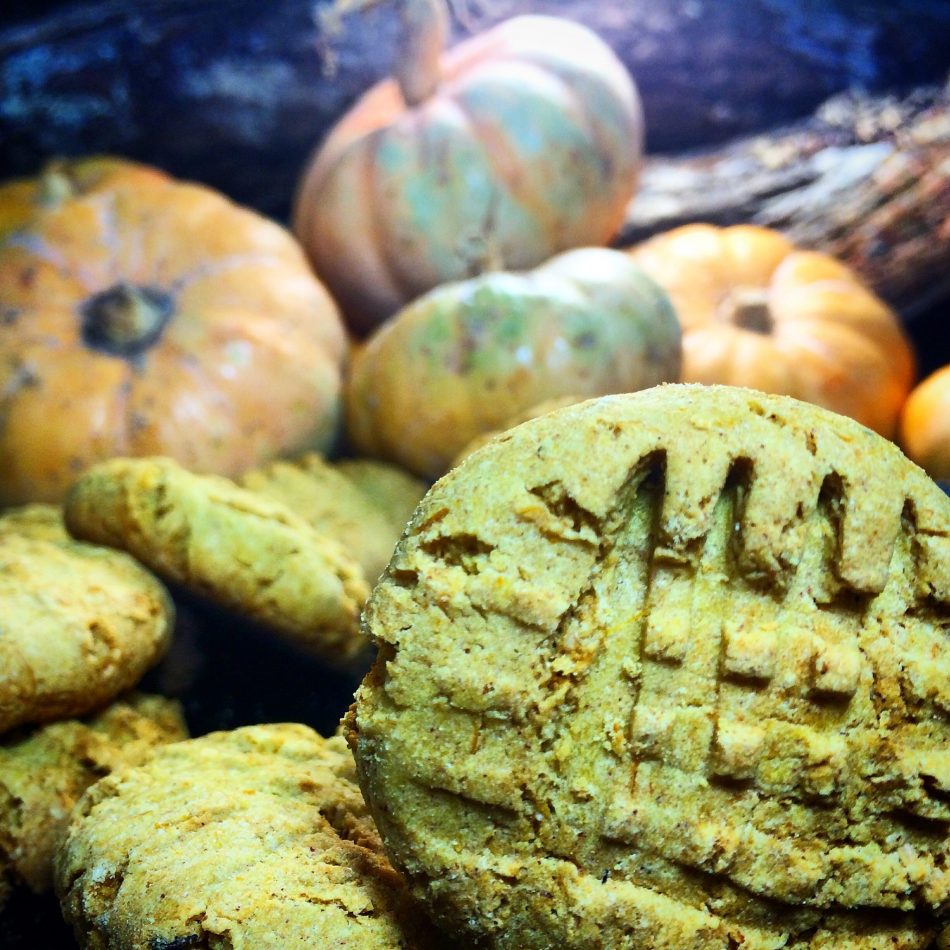 cookies de abobora - COOKIES DE ABÓBORA SEM GLÚTEN E SEM LACTOSE!